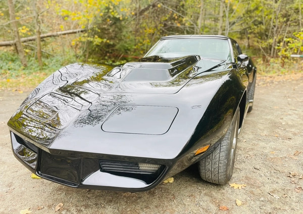 Chevrolet Corvette cena 82000 przebieg: 80000, rok produkcji 1977 z Kraków małe 232